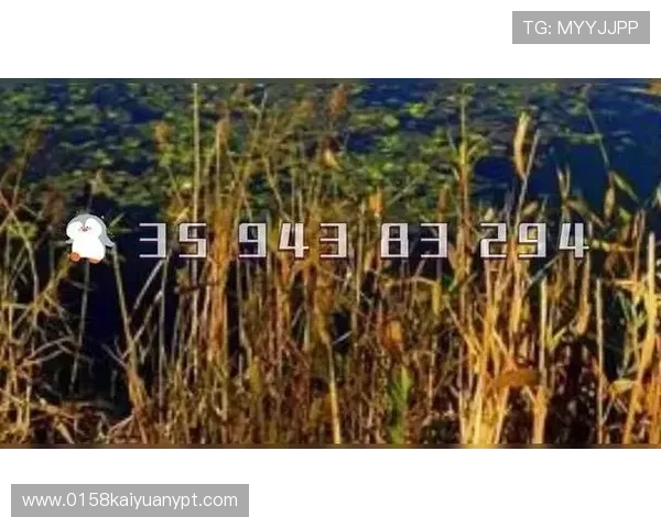 欧博包杀网一比一:一比一包杀技术在网络游戏中的实际操作与效果评测